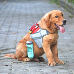 Portable Filtered Dog Drinker Bottle